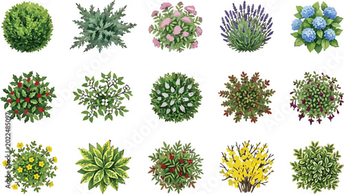 Set of garden shrubs and ornamental plants top view for landscape design architectural plan vector illustration