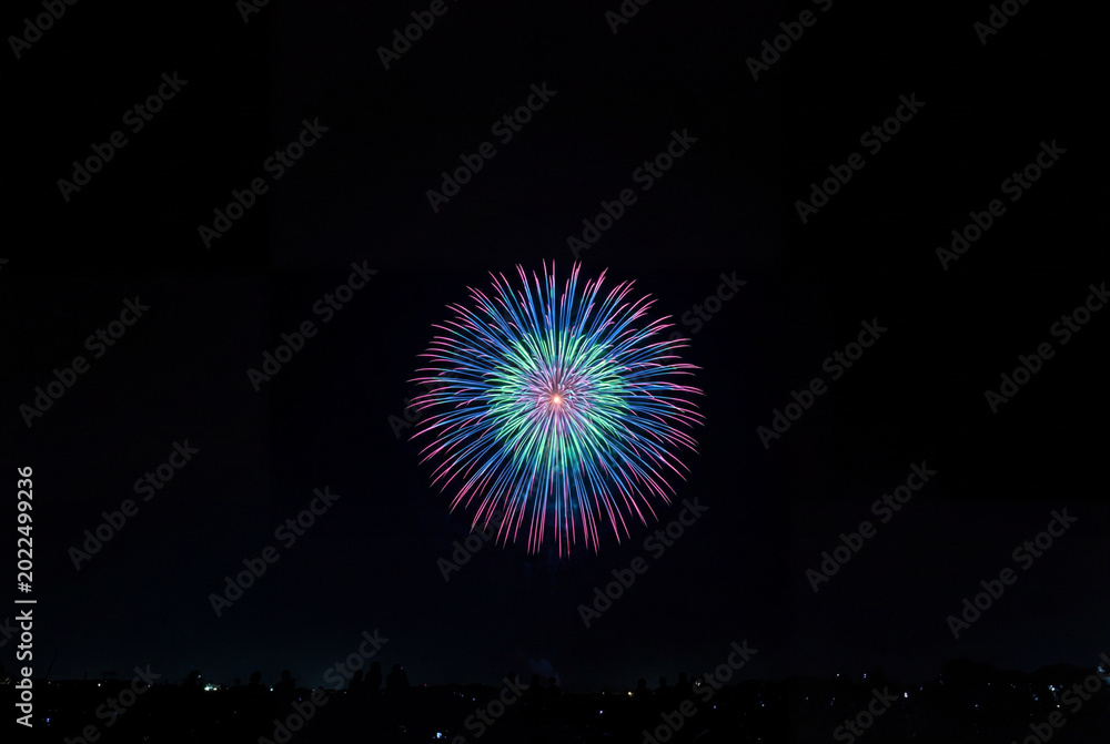 Fototapeta premium Single colorful firework bursting in a deep dark night sky