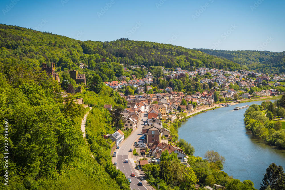 Obraz premium View at river Neckar in Germany, surrounded by beautiful landscape and castle ruins