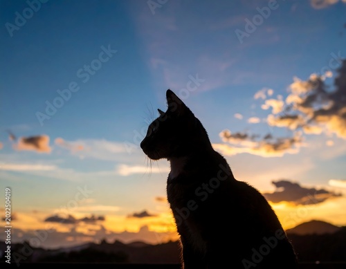 A silhouette of a cat is perched, gazing at a breathtaking sunset painted across the sky, with layers of clouds