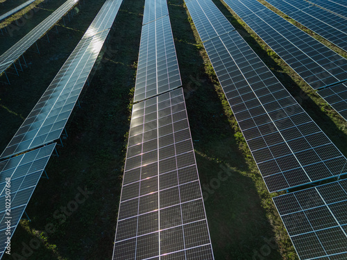 Solar farm with many rows of photovoltaic panels produces renewable energy in a rural landscape.
