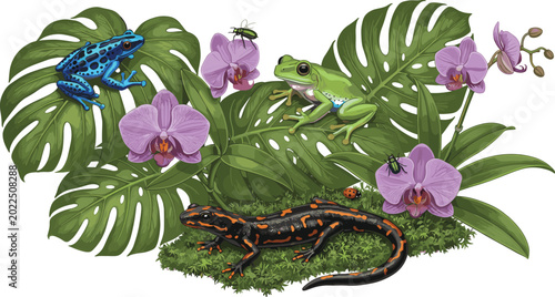 Konstfotografi Tropical amphibian and plant vector illustration with frogs, salamander, orchids