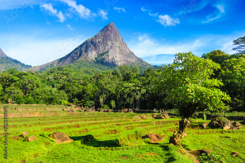 Lakegala Mountain View in Meemure Sri Lanka