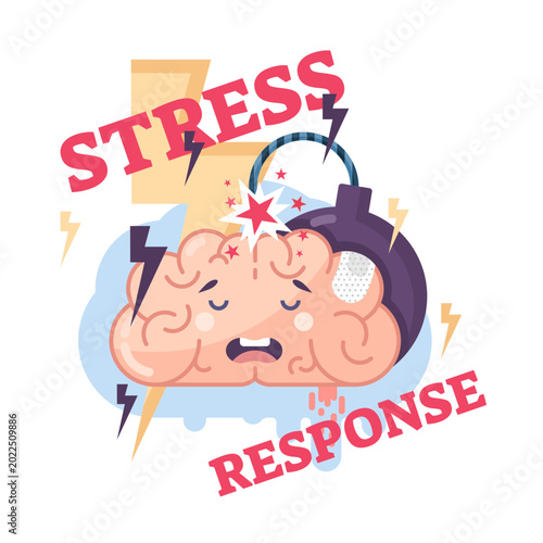 Photos Human stress response system conceptual illustration brain character with lightning bolts, explosive bomb and frustrated facial emotion, transparent background
