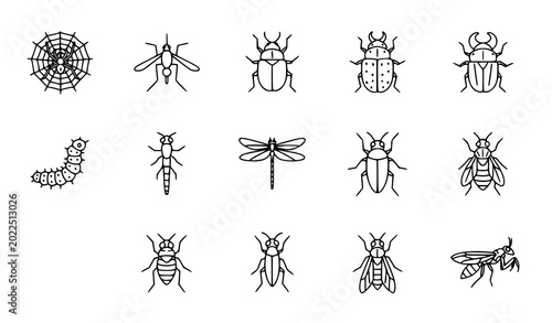 Foto Minimal insect outline icons set with spider mosquito beetle caterpillar and dra