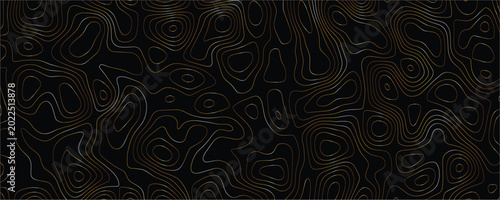 Bild auf Leinwand Topographic map contour lines with thin gold and silver metallic strokes on a so