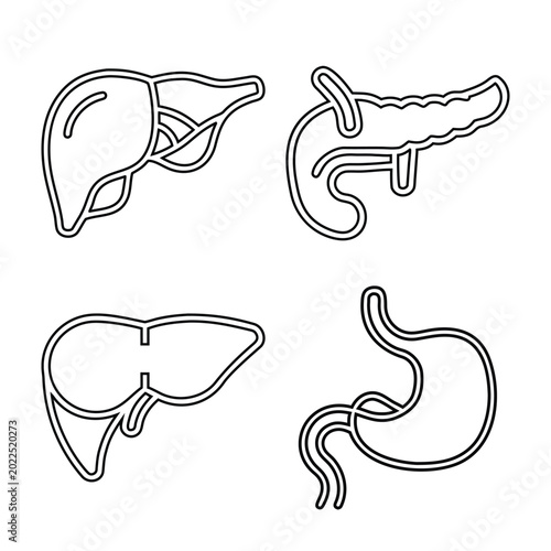 Digestive Organ Medical Line Collection