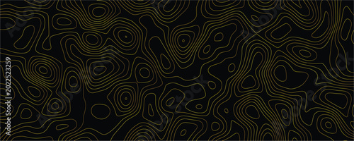 Foto Gold topographic contour lines forming an abstract pattern on a solid black back
