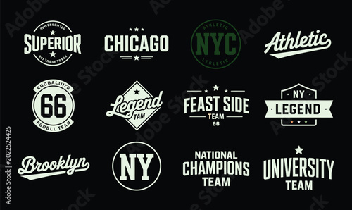Vintage varsity sports badges set vector for athletic t-shirt design and collegiate apparel logo
