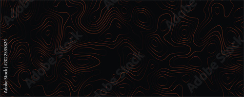 Canvastavla Dark background with glowing copper colored topographic contour lines forming ab