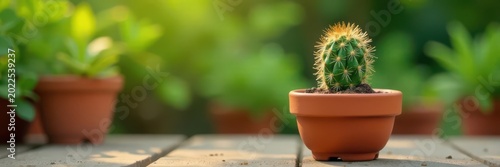 Tiny cactus in terracotta pot, blurred garden backdrop, earth, spine, small