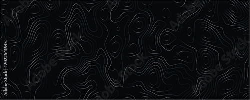Bilde på lerret Dark topographic map background with flowing silver contour lines on a black sur