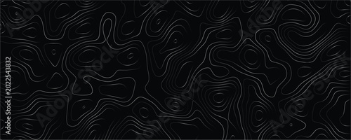 Schilderij op canvas Topographic map contour lines pattern with thin grey strokes on a solid black ba