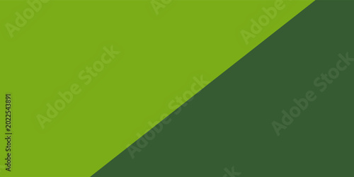 Schilderij op canvas A bicolor background consisting of dark and light green shapes