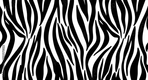 фотографія Zebra stripes pattern, black and white animal print