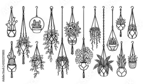 Aesthetic collection of hanging potted plants and succulent line art illustrations.