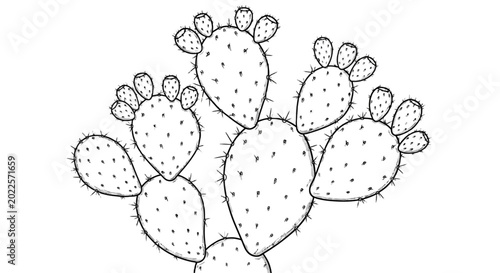 Obraz na plátne Cactus silhouette on black background prickly pear plant outline