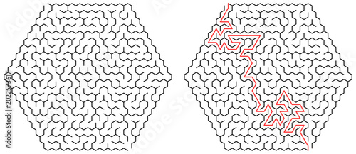 Foto Hexagonal Maze Puzzle with Solution Path