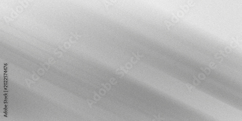Billede på lærred Monochrome abstract background with soft diagonal motion blur and grain texture, creating subtle, elegant effect
