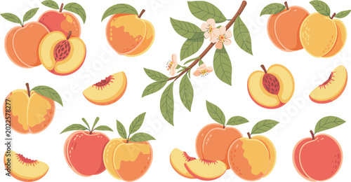 Fresh ripe peaches and peach slices with green leaves and blossoms on branch