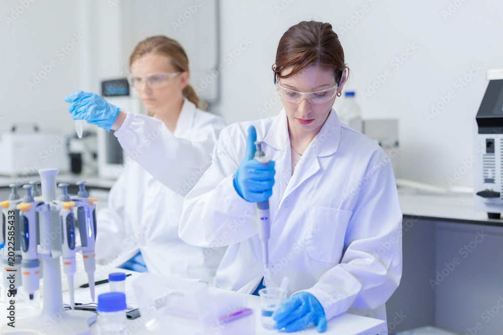 Fototapeta premium Scientist uses pipette to transfer liquid in laboratory during research on biological samples