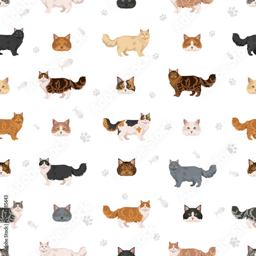Canvastavla Ragamuffin Cat clipart