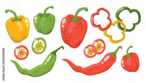 Obraz na plátně Assortment of whole and sliced bell peppers and chili peppers in red green and yellow colors with seeds hand drawn illustration isolated on white background