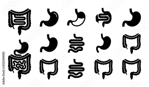 Bild auf Leinwand Minimal Digestive Anatomy Black Vector Icon Set