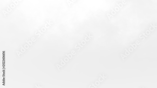 Canvastavla Fog fills a clear area, giving a sense of moisture in the air