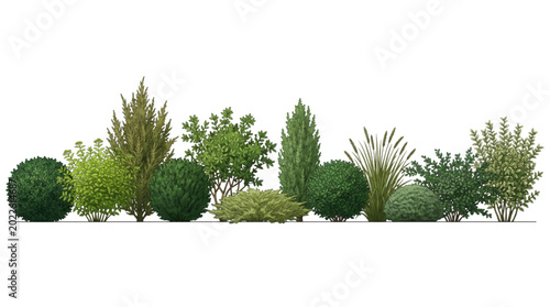 Photos Versatile collection of various green landscape shrubs and bushes, precisely ren