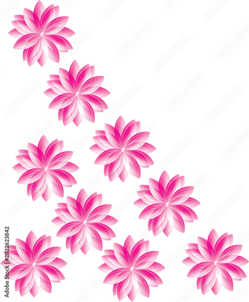 Obraz premium pink flowers on white