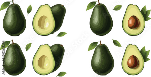 Quadro su tela Fresh Organic Avocado Vector Set with Whole Fruits Half Slices Seedless Options