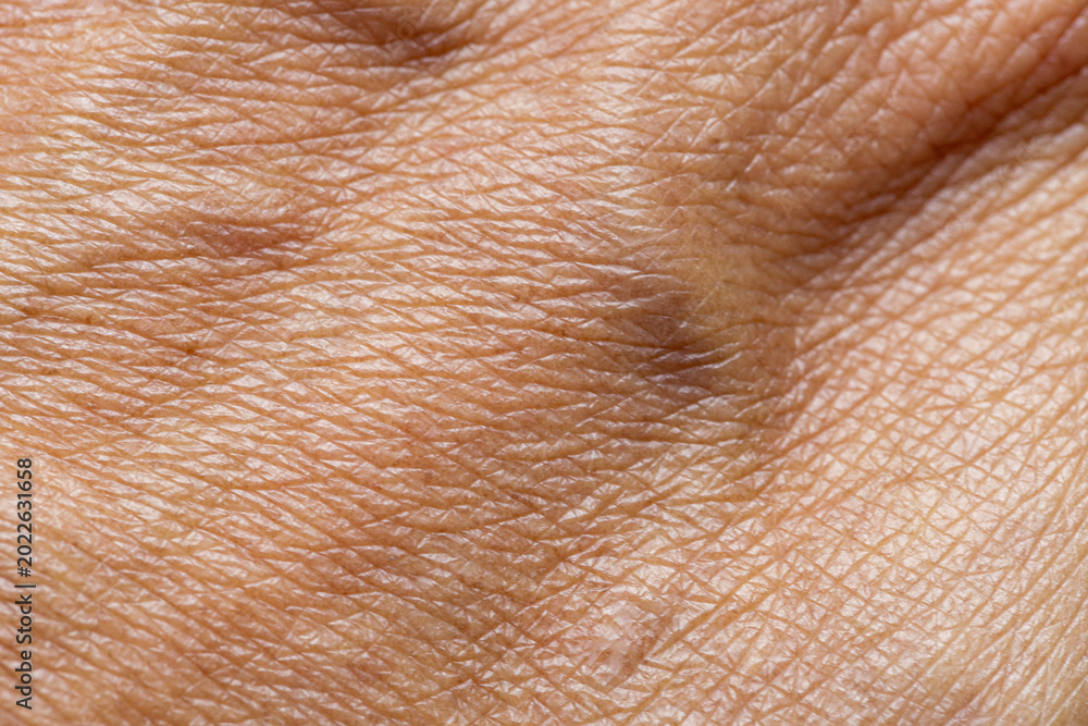 Naklejka premium Macro Texture of Mature Human Skin,An extreme close-up macro shot detailing the natural texture, fine lines, and wrinkles of mature human skin, highlighting the biological patterns of the epidermis.