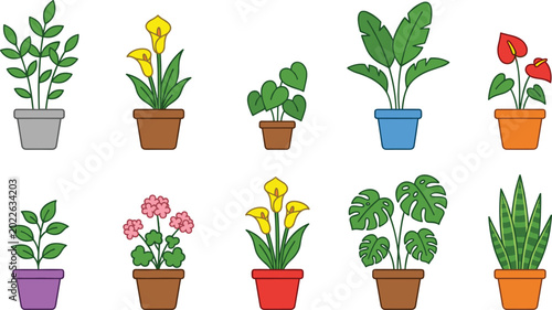 Bild auf Leinwand Colorful Potted Indoor Plant Vector Set with Calla Lilies, Monstera, Snake Plant