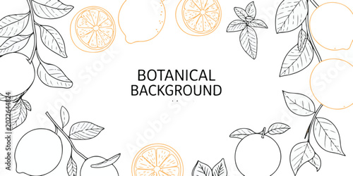 Bild auf Leinwand Botanical background with lemon fruit and citrus slices and fresh green leaves for organic health and natural product concept