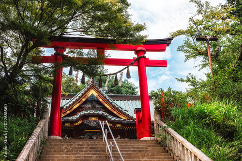 Fotografija The Yakuoin Temple, officially known as Takaosan Yakuoin Yukiji is located at the summit of Mt Takao