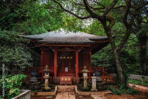 Photos The Yakuoin Temple, officially known as Takaosan Yakuoin Yukiji is located at the summit of Mt Takao