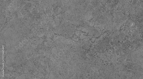 Konstfotografi A detailed close-up shot of a textured grey stone surface, showcasing intricate patterns and rough edges