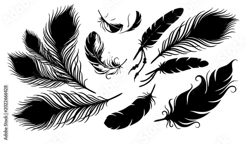 Foto Decorative feather vector illustration boho bird plume collection isolated on wh