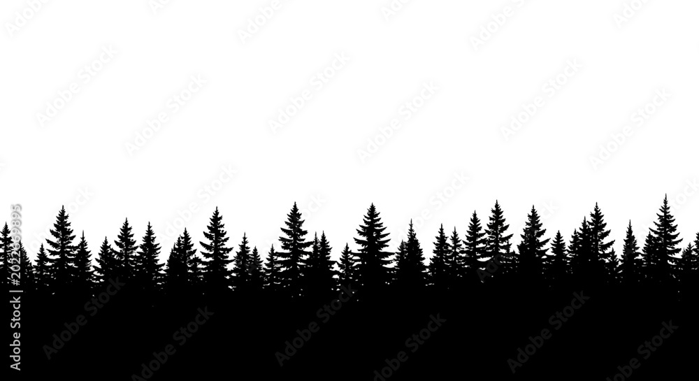 Fototapeta premium Silhouette of Pine Trees Line.