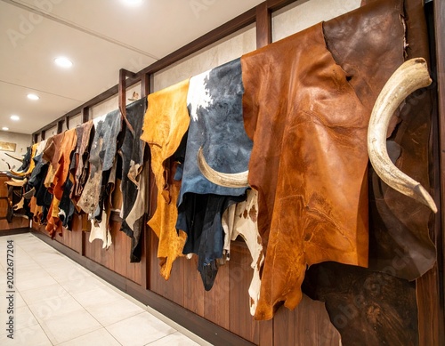 Raw animal hides hung indoors