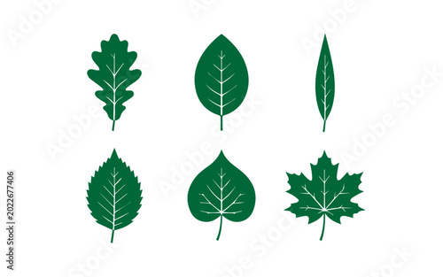 Collection of various green leaf shapes and types