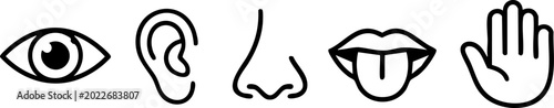 Fotografi Vector icons representing the five senses with perception awareness illustration