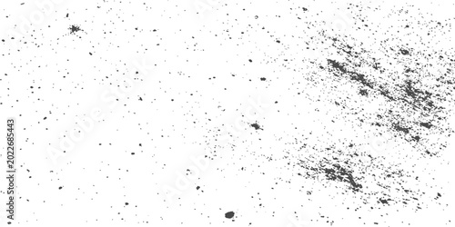 Obraz na plátně Black splatter and speckle texture on a white background abstract grunge paint e