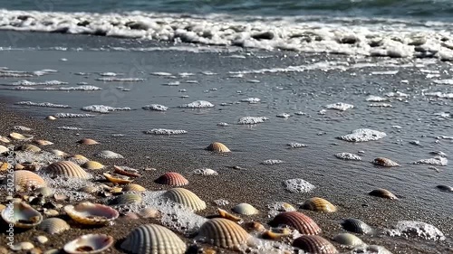 Foamy ocean waves on rocky shoreline.