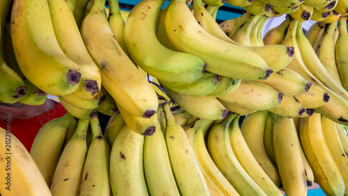 Photos bananas on a market