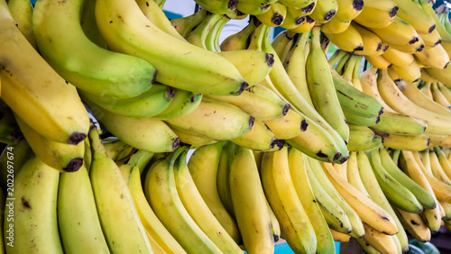 Photos bananas on a market
