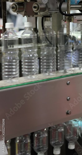 Empty plastic bottles move along automated bottling line under filling and capping heads. Industrial process showing preparation stage before liquid filling in modern factory.