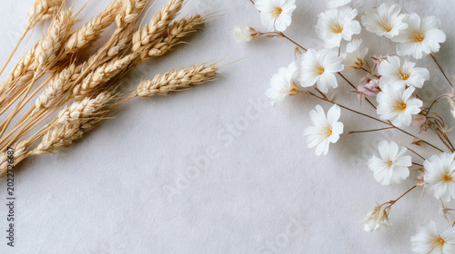 Golden wheat ears and white flowers arranged on white linen background with copy space for Shavuot
