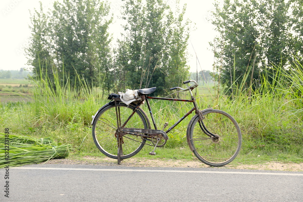 Fototapeta premium bicycle on the road
